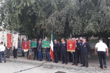 Sfoglia la galleria